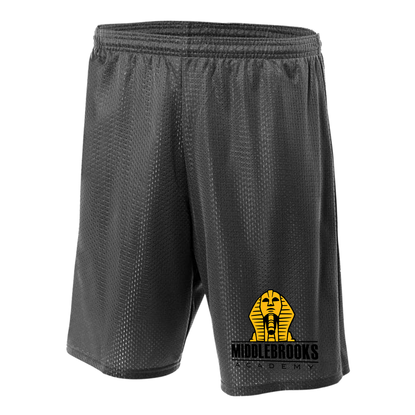 Middlebrooks Academy Basketball Shorts